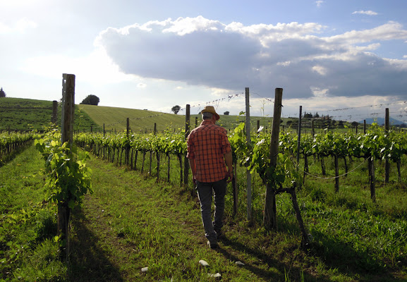 Vita di campagna di MWALTER