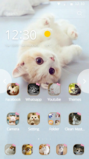 How to mod Cute cat theme 1.1.1 mod apk for android