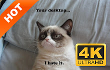 Unhappy cat pop cat HD new tab page theme small promo image