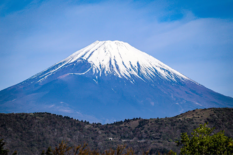 の投稿画像4枚目