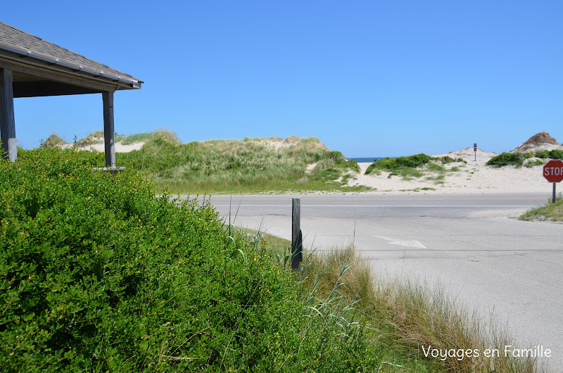 pea island wildlife refuge