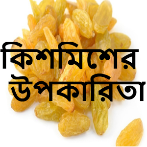 Download কিশমিশের উপকারিতা For PC Windows and Mac