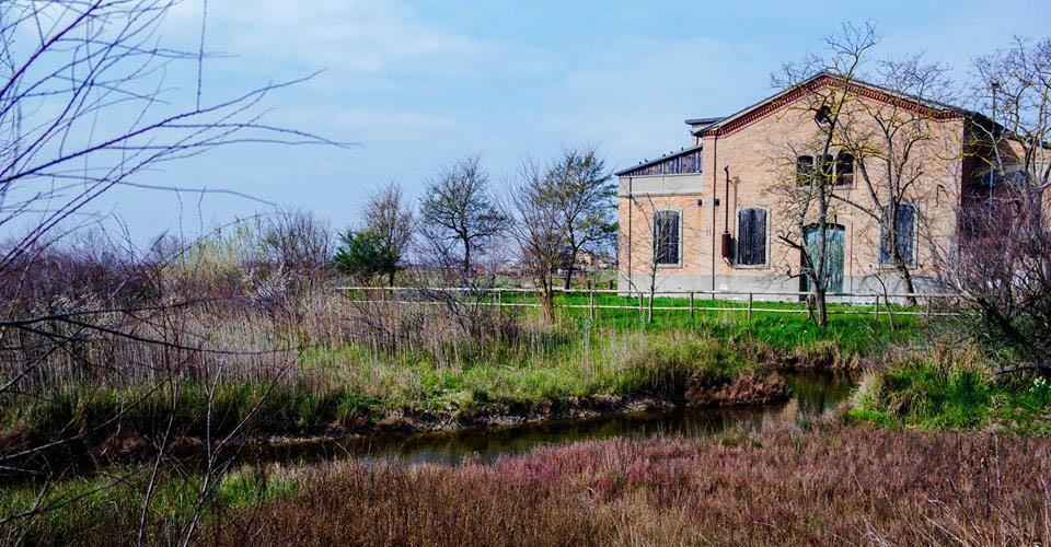 La casa in campagna di alessiocoppolaph00