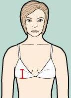 Breast/cup bottom height: bottom edge of breast along skin to breast apex