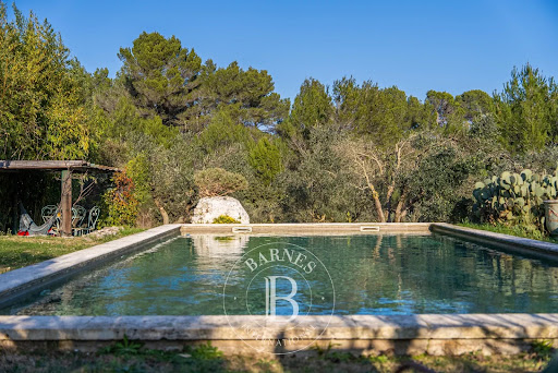 Propriété avec piscine et jardin 3