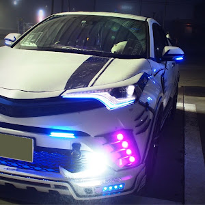 C-HR NGX50