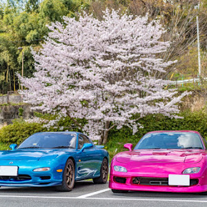 RX-7 FD3S 後期