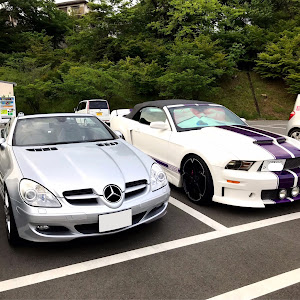 SLK R171