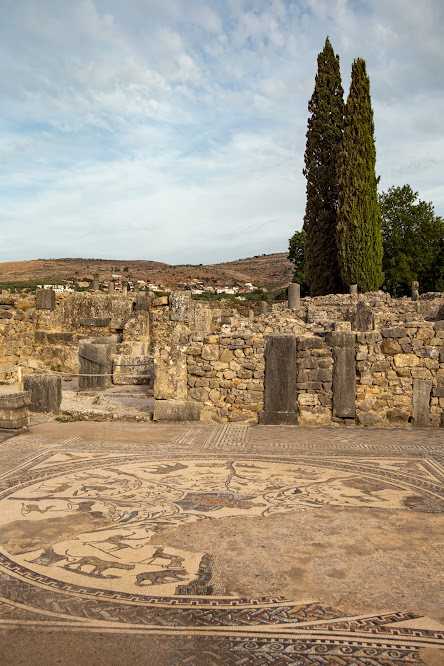 mozaika w Domu Orfeusza, Volubilis