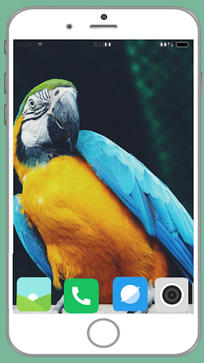 Parrot Full HD Wallpaper