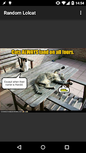 Random Lolcat(圖3)-速報App