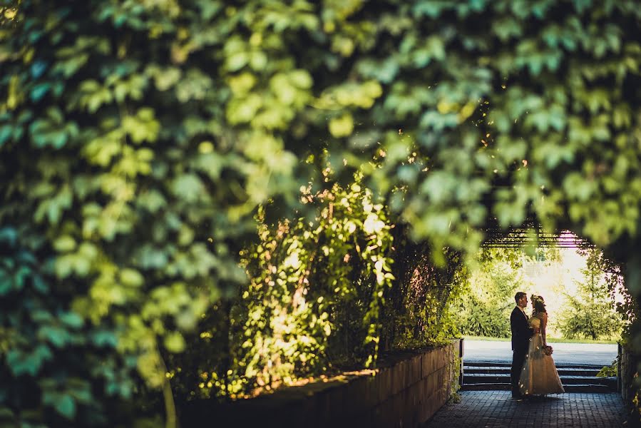 Wedding photographer Olga Kharskaya (bezga767). Photo of 3 September 2016