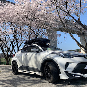 C-HR NGX50