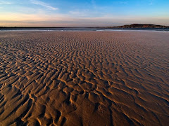 Visiter Dollymount Strand