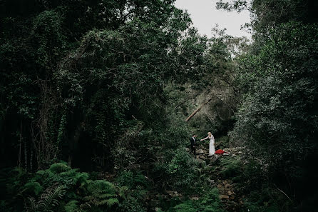 Fotografer pernikahan Sharyn Hodges (sharynhodges). Foto tanggal 3 Juli 2019