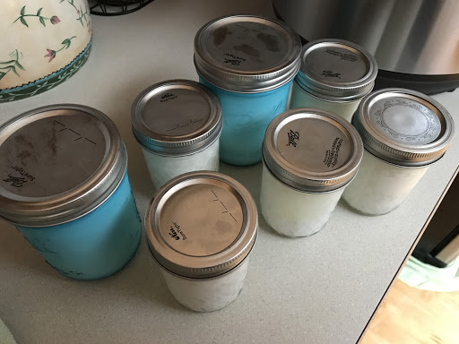 Two pint sized canning jars and five 8 oz. canning jars, filled with finished yogurt, on a counter.  