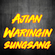 Download Ajian Waringin Sungsang Terlengkap For PC Windows and Mac 1.0.1