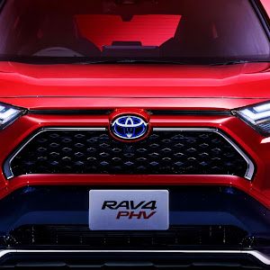 RAV4 MXAA54