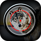 Animal Sniper Wolf Hunting Shooter 1.0