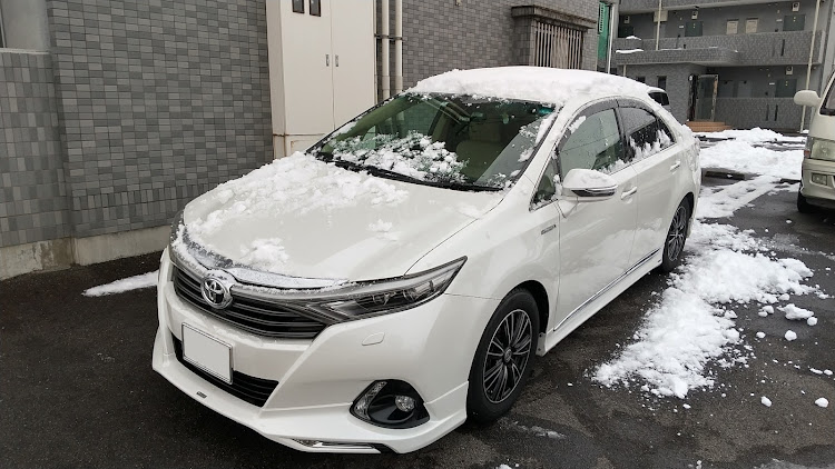 SAIのSAI・車検・ディーラー車検・ボールジョイント・グリスに関するカスタム事例の投稿画像1枚目