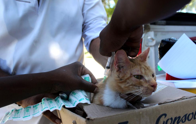 Myra didn't want to leave her box during the vaccination.