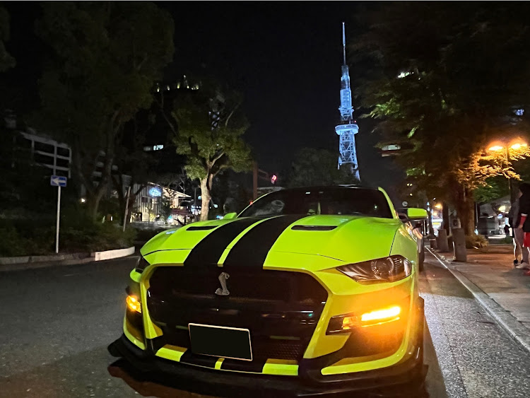 チャレンジャーのLB★WORKS・仲良し兄弟・６月もよろしくお願いします・大雨にご注意くださいに関するカスタム事例の投稿画像7枚目