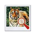 Find It Animal Chrome extension download