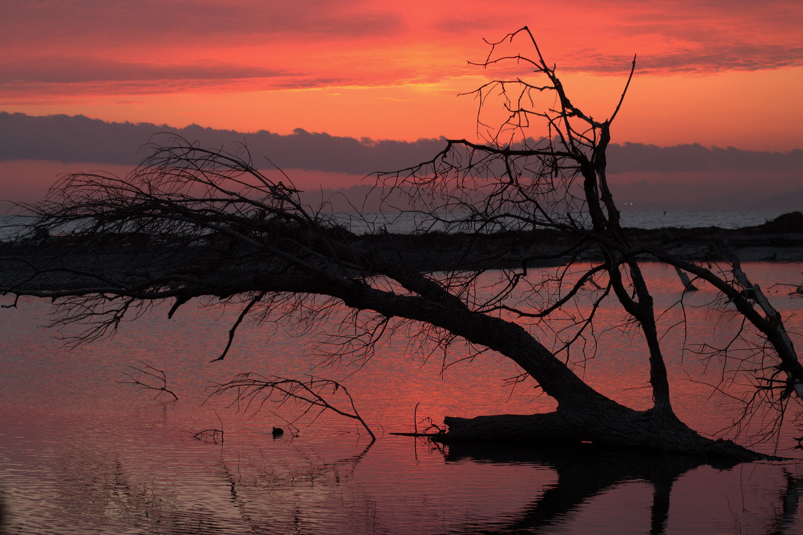 Controluce, al tramonto, sul fiume di utente cancellato