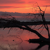 Controluce, al tramonto, sul fiume di 