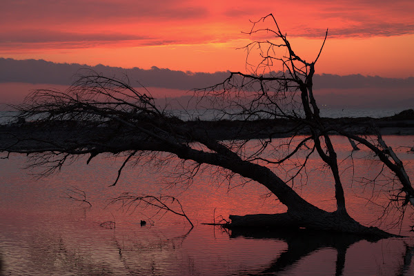 Controluce, al tramonto, sul fiume di utente cancellato