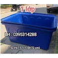 Thùng Chữ Nhật Nuôi Cá 750 Lít ( 2 Lớp Và 1 Lớp )