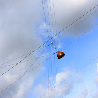 Tram nel cielo di 