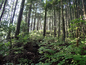 急斜面の登りに