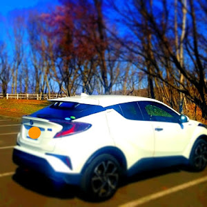 C-HR ZYX10