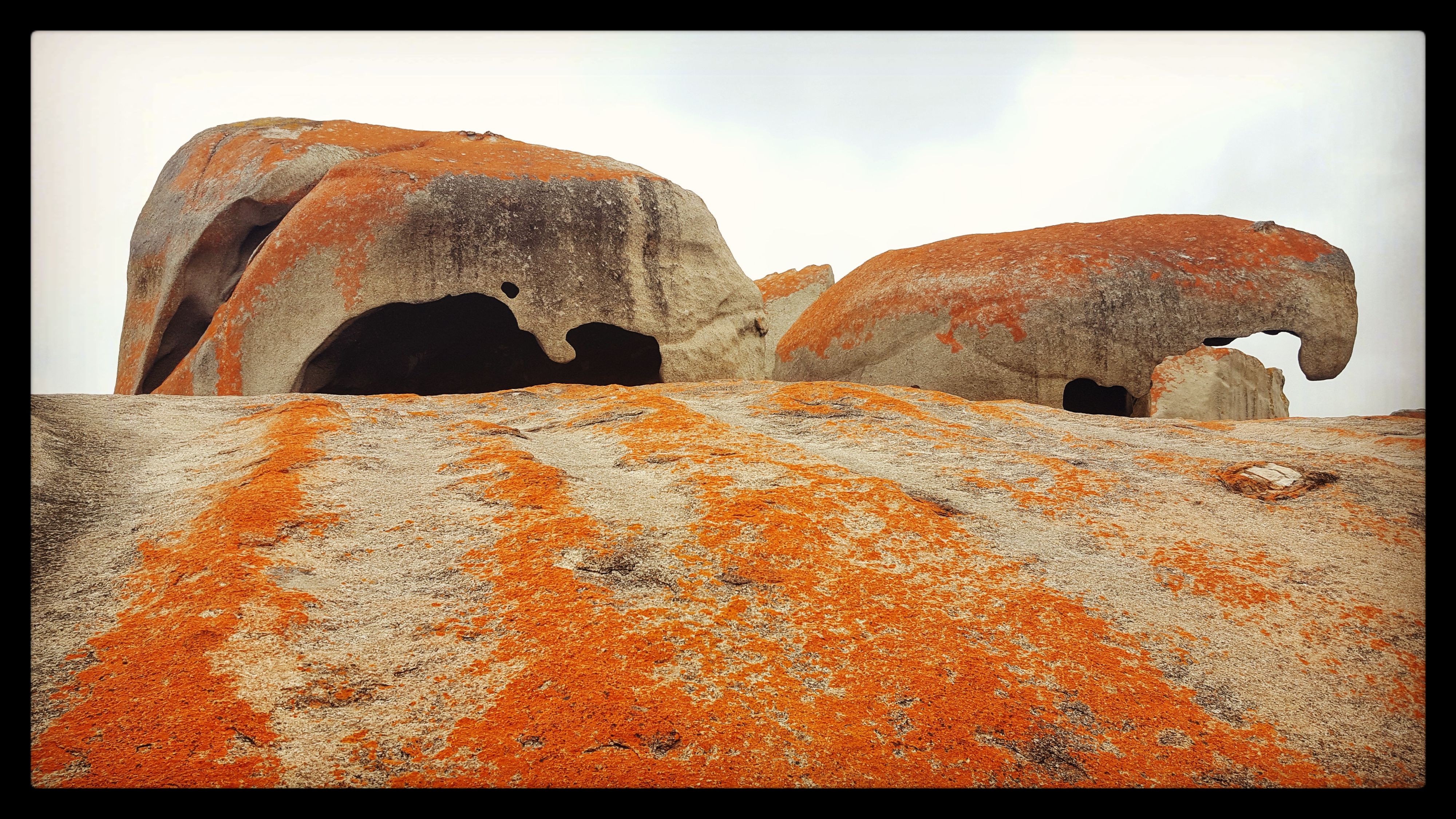 Australia - Remarkable Rocks di robypsycho