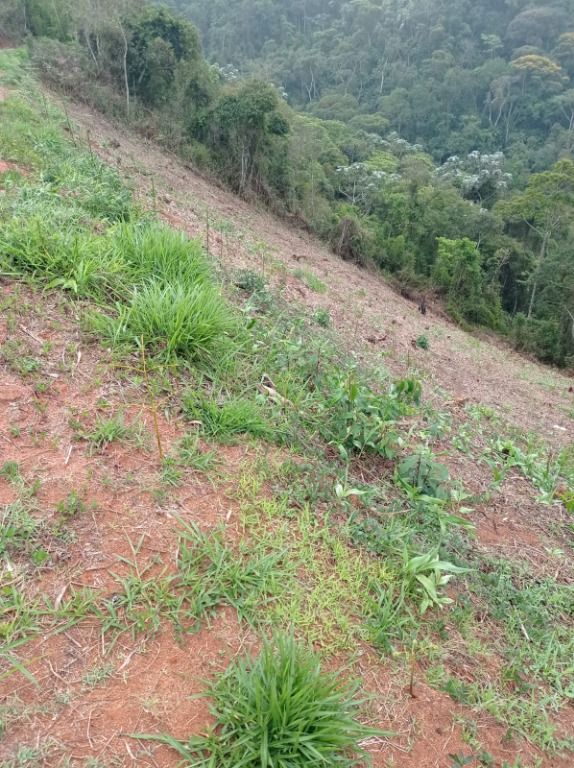 Terreno Residencial à venda em Barra do Imbuí, Teresópolis - RJ - Foto 4