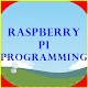 RaspberryPi Programming Download on Windows
