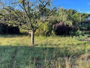 terrain à Dolus-d'Oléron (17)