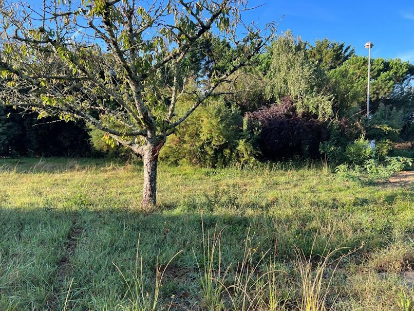 Vente terrain  300 m² à Dolus-d'Oléron (17550), 164 194 €