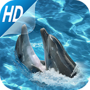 Cute dolphin Live Wallpapers 1.0.8 Icon