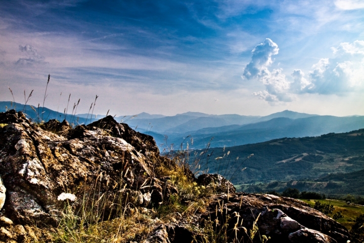 Colline Piacentine di Paolo Sartorio