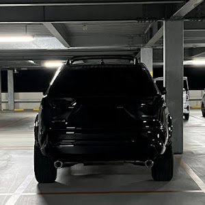 RAV4 MXAA54