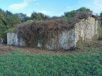 ferme à Biarrotte (40)