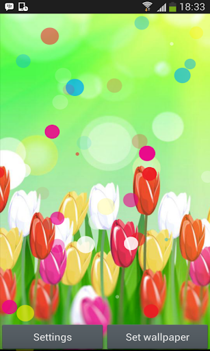 免費下載個人化APP|Spring Color Flower Wallpaper app開箱文|APP開箱王