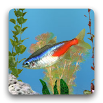 aniPet Freshwater Live WP Apk