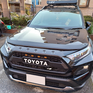 RAV4 MXAA54