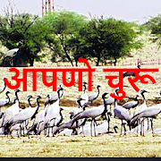 Churu News and Info in Hindi  Icon