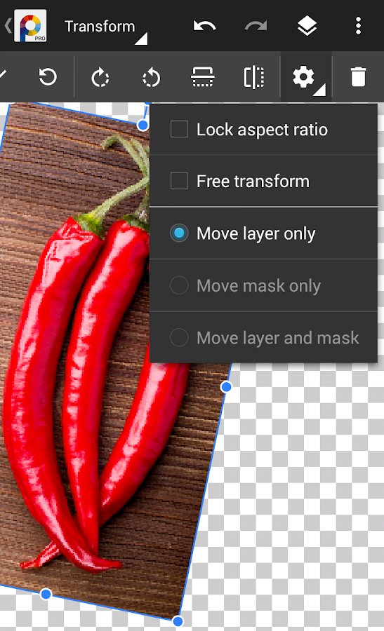    PhotoSuite 4 Pro- screenshot  