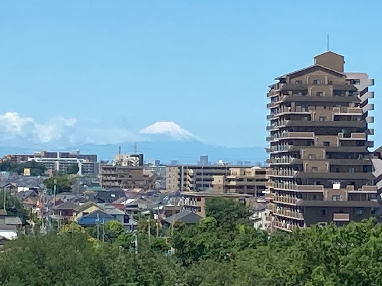 の投稿画像14枚目