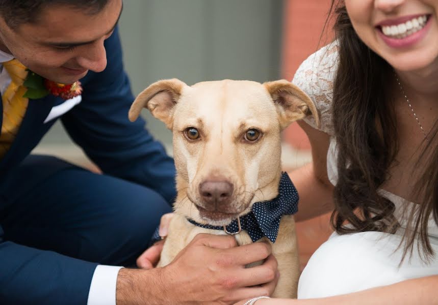 Wedding photographer Lisa Burwell (lisaburwell). Photo of 30 December 2019